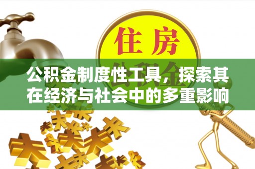 睢宁公积金制度性工具，探索其在经济与社会中的多重影响