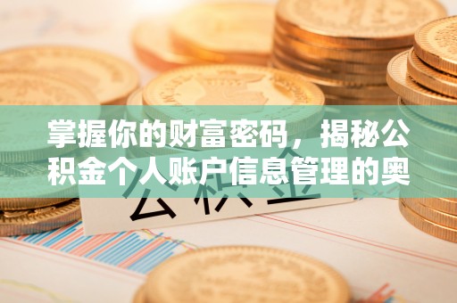 睢宁掌握你的财富密码，揭秘公积金个人账户信息管理的奥秘