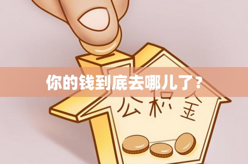 睢宁你的钱到底去哪儿了？
