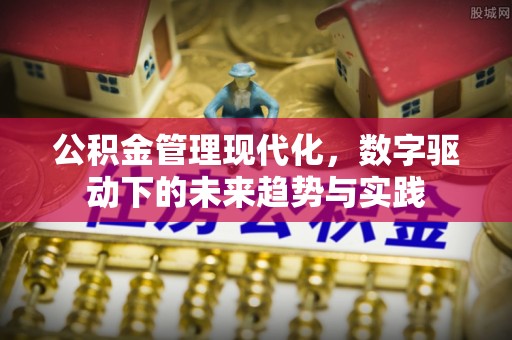 睢宁公积金管理现代化，数字驱动下的未来趋势与实践