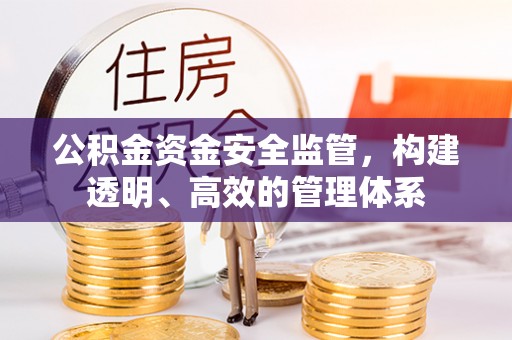 睢宁公积金资金安全监管，构建透明、高效的管理体系