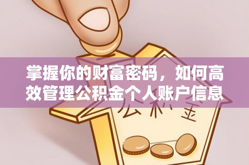 睢宁掌握你的财富密码，如何高效管理公积金个人账户信息
