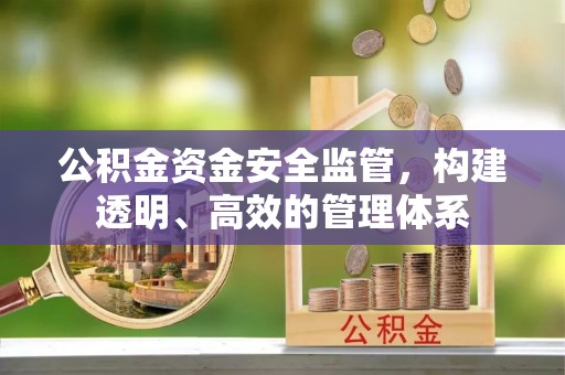睢宁公积金资金安全监管，构建透明、高效的管理体系