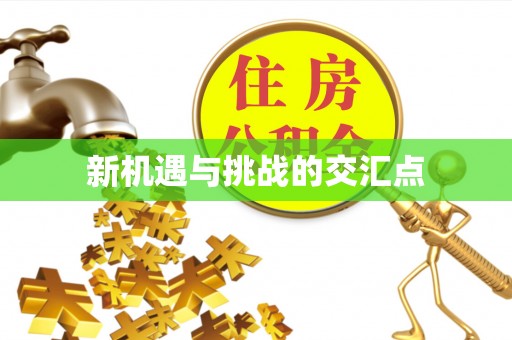 睢宁新机遇与挑战的交汇点