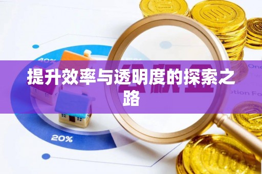 睢宁提升效率与透明度的探索之路