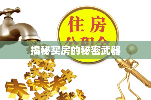 睢宁揭秘买房的秘密武器