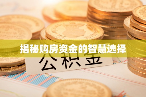 睢宁揭秘购房资金的智慧选择