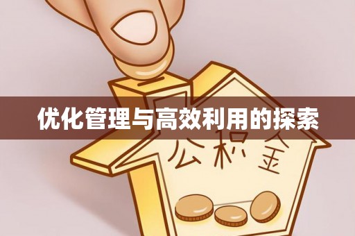 睢宁优化管理与高效利用的探索