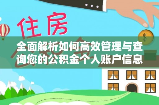 睢宁全面解析如何高效管理与查询您的公积金个人账户信息