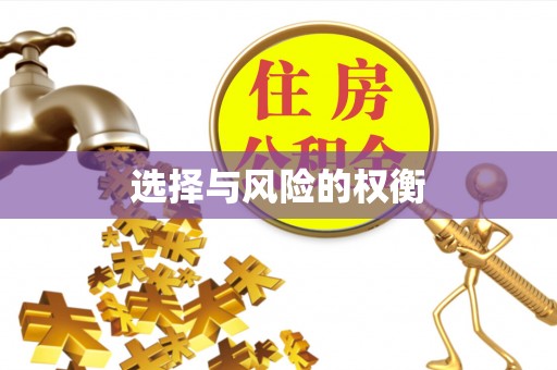 睢宁选择与风险的权衡