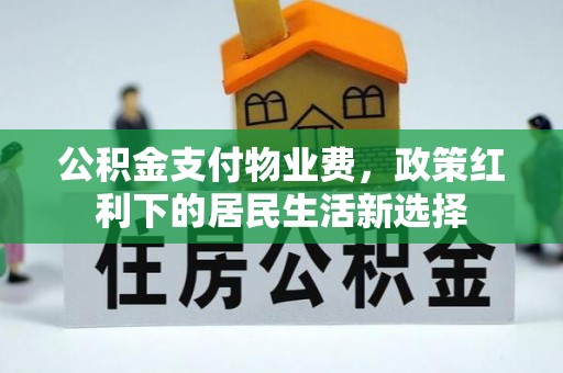 睢宁公积金支付物业费，政策红利下的居民生活新选择