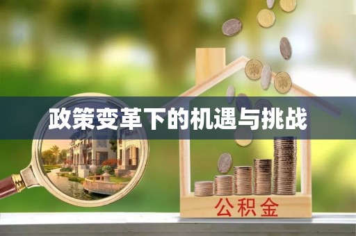 睢宁政策变革下的机遇与挑战