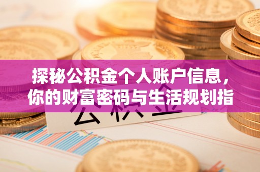 睢宁探秘公积金个人账户信息，你的财富密码与生活规划指南